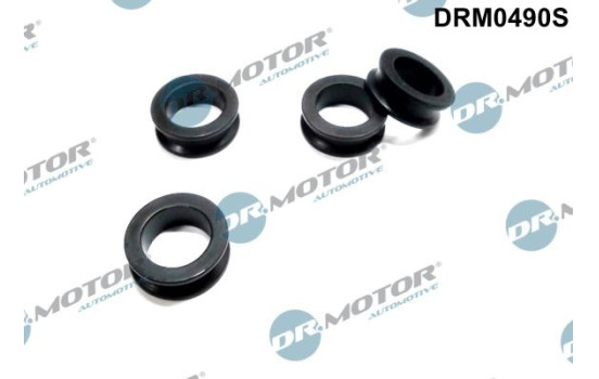 Seal ring, Atomizer/Injector