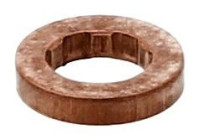 Seal ring, Atomizer/Injector