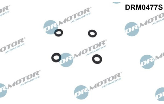 Seal ring, Atomizer/Injector