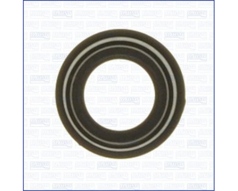 Seal ring, Atomizer/Injector