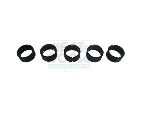 Seal ring, Atomizer/Injector