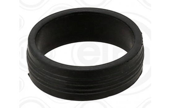 Seal ring, injection valve