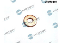 Seal ring, injection valve