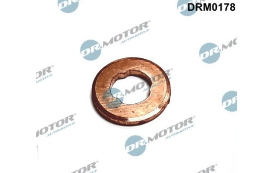 Seal ring, injection valve