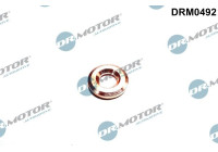 Seal ring, injection valve