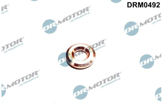 Seal ring, injection valve