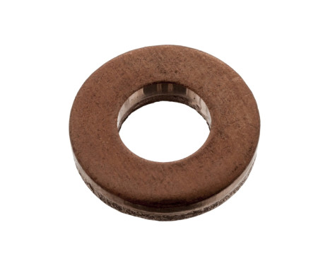 Seal Ring, injector 100543 FEBI