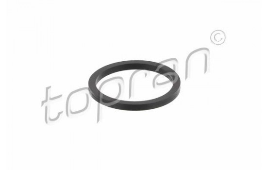 Seal Ring, injector