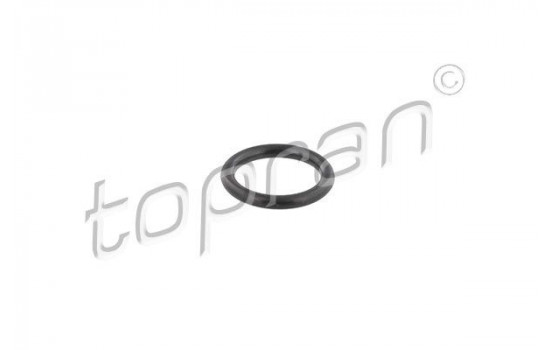 Seal Ring, injector