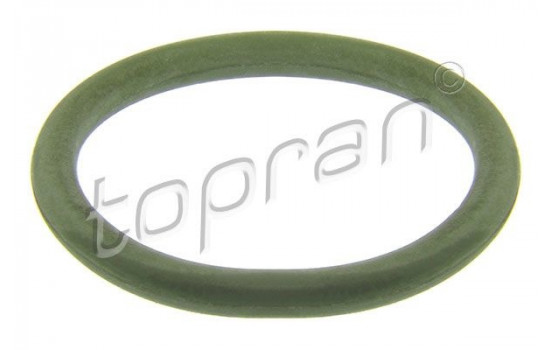 Seal Ring, injector