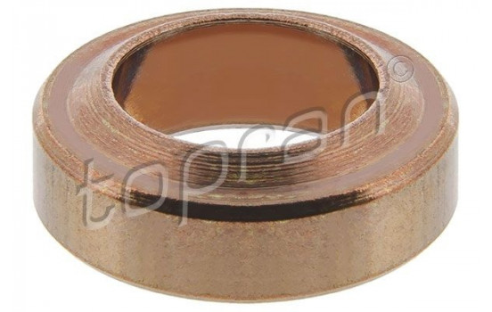 Seal Ring, injector