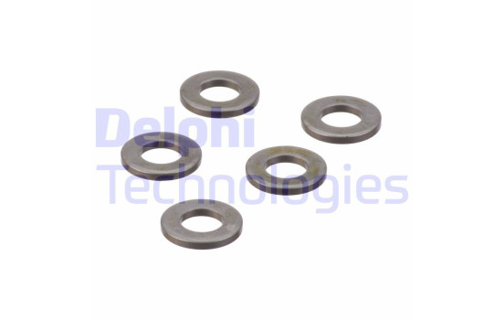 Seal Ring, injector