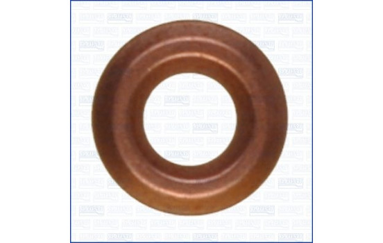 Seal ring, nozzle holder