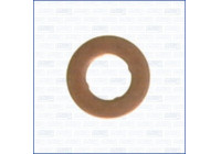 Seal ring, nozzle holder