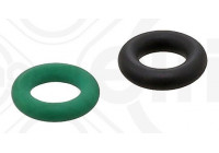 Seal Ring Set, injector