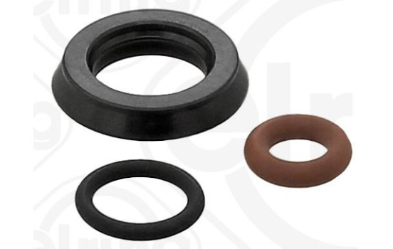 Seal Ring Set, injector