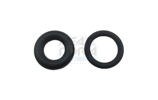 Seal Ring Set, injector