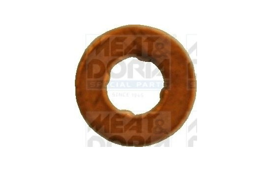 Sealing ring, Atomizer/Injector shaft