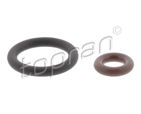 Sealing ring, Atomizer/Injector