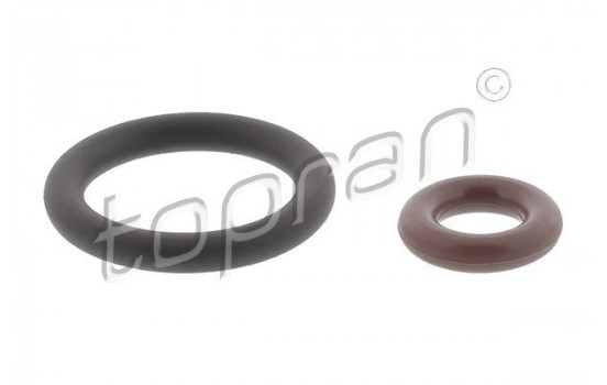 Sealing ring, Atomizer/Injector