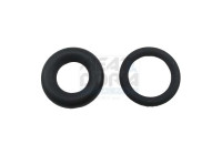 Sealing ring, Atomizer/Injector