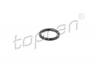 Sealing ring, Injector/Nozzle