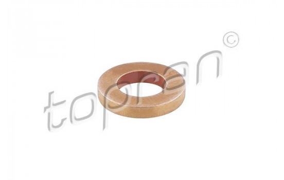 Sealing ring, Injector/Nozzle