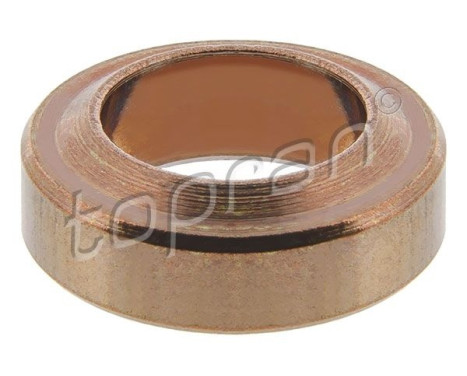Sealing ring, Injector/Nozzle