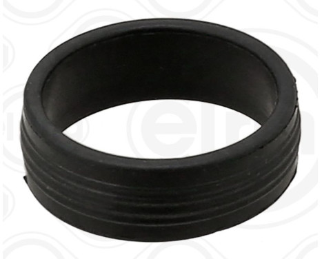 Sealing ring, Injector/Nozzle