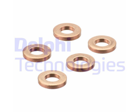 Sealing ring, Injector/Nozzle