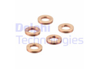 Sealing ring, Injector/Nozzle