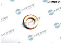 Sealing ring, Injector/Nozzle