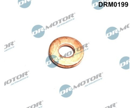Sealing ring, Injector/Nozzle