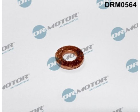 Sealing ring, Injector/Nozzle