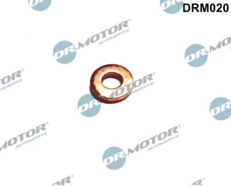 Sealing ring, Injector/Nozzle
