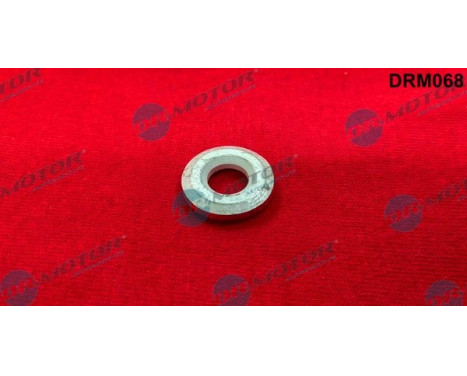 Sealing ring, Injector/Nozzle
