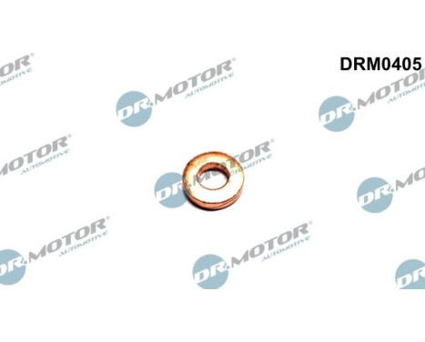 Sealing ring, Injector/Nozzle