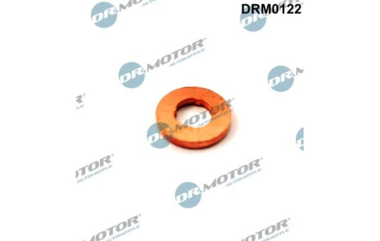 Sealing ring, Injector/Nozzle