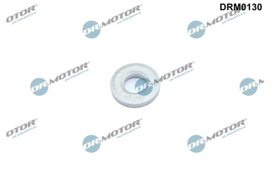 Sealing ring, Injector/Nozzle
