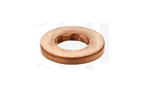 Sealing ring, nozzle holder