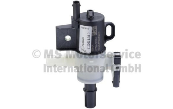 Vent/bleed valve, fuel tank