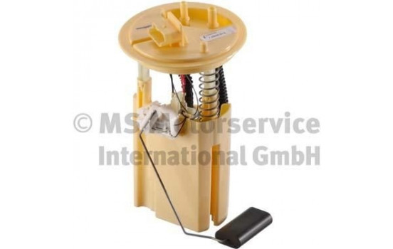 Fuel Feed Unit 7.05656.54.0 Pierburg