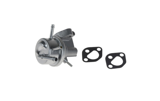 Fuel Pump ADD66819 Blue Print