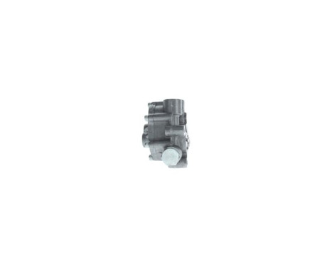 Fuel Pump K S00 001 609 Bosch, Image 2