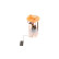 Fuel supply unit FSM-D.46-DCSI Bosch