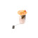 Fuel supply unit FSM-D.46-DCSI Bosch