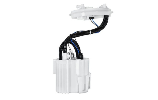 Fuel supply unit, Image 2