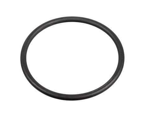 Gasket, fuel pump 172666 FEBI