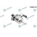 High pressure injection pump