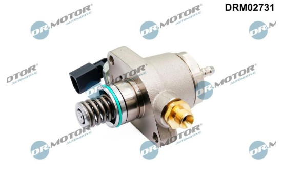 High pressure injection pump